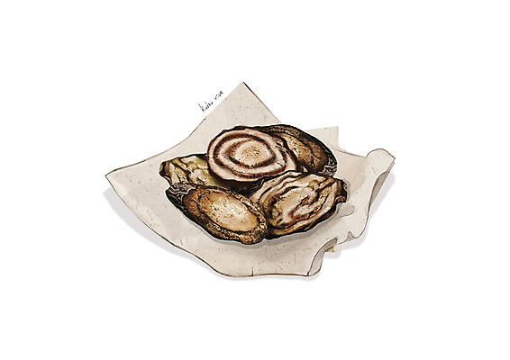 PSD 일러스트 사람없음 한의학 한약재 흰색 한지 칡 디테일 국내일러스트 식물 종이 컬러 의학 약재 파일형식