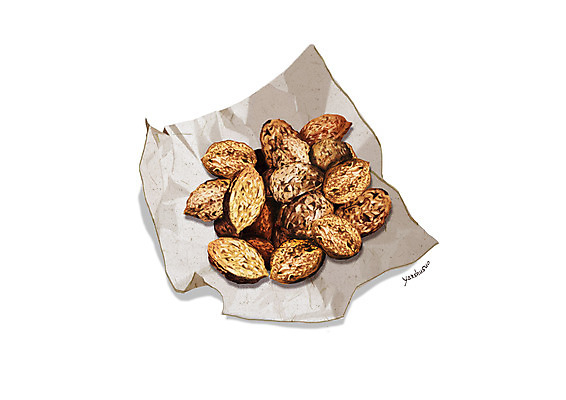 PSD 일러스트 사람없음 한의학 한약재 흰색 한지 디테일 연호색 국내일러스트 종이 컬러 의학 약재 파일형식