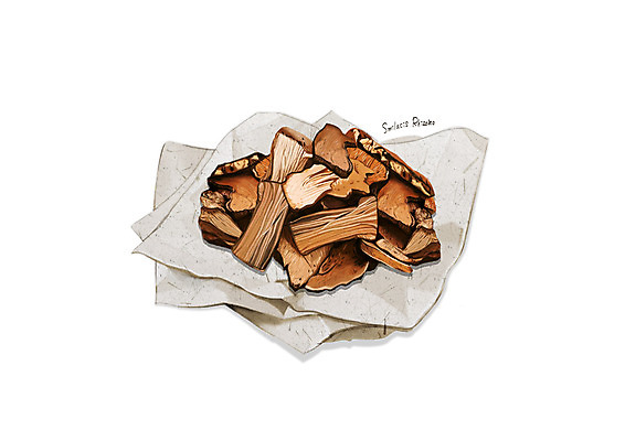 PSD 일러스트 사람없음 한의학 한약재 흰색 한지 디테일 토복령 국내일러스트 종이 컬러 의학 약재 파일형식