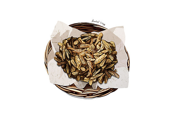 PSD 일러스트 사람없음 바구니 한의학 한약재 흰색 맥문동 디테일 국내일러스트 식물 컬러 의학 약재 파일형식