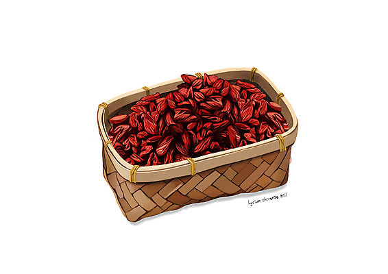 PSD 일러스트 사람없음 빨간색 바구니 한의학 한약재 흰색 구기자 디테일 국내일러스트 열매 컬러 의학 약재 파일형식