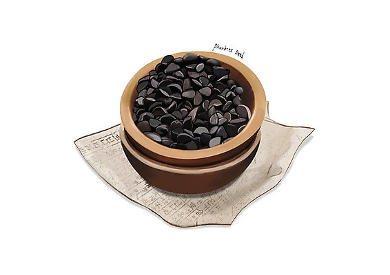 PSD 일러스트 사람없음 한의학 한약재 흰색 나무그릇 디테일 견우자 국내일러스트 그릇 컬러 의학 씨앗 목재 약재 파일형식