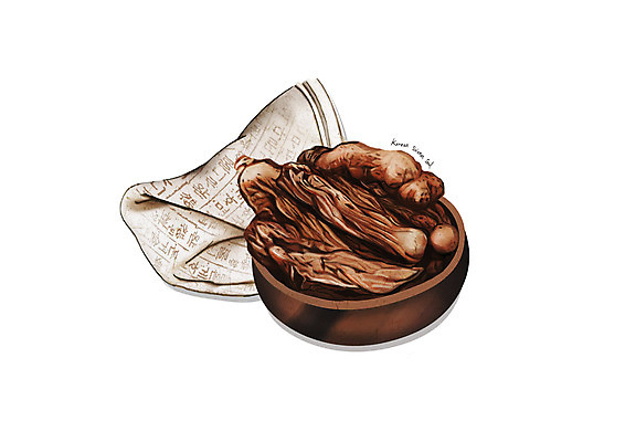 PSD 일러스트 사람없음 한의학 한약재 흰색 나무그릇 디테일 옥죽 국내일러스트 그릇 컬러 의학 목재 약재 파일형식