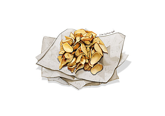 PSD 일러스트 사람없음 한의학 한약재 흰색 백합 한지 디테일 국내일러스트 꽃 종이 컬러 의학 약재 파일형식