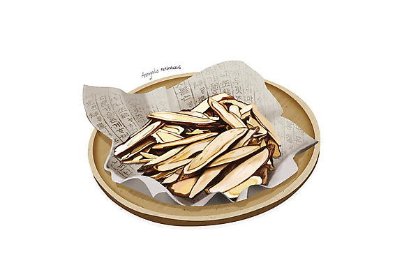 PSD 일러스트 사람없음 한의학 한약재 흰색 나무접시 황기 디테일 국내일러스트 접시 컬러 의학 약재 파일형식