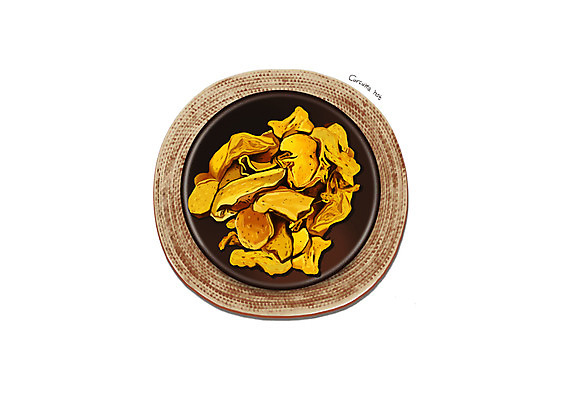 PSD 그릇 일러스트 사람없음 한의학 한약재 흰색 디테일 울금 국내일러스트 식기 컬러 의학 약재 파일형식