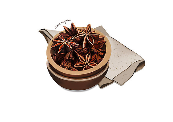 PSD 일러스트 사람없음 한의학 한약재 흰색 나무그릇 디테일 팔각회향 국내일러스트 그릇 컬러 의학 목재 약재 향신료 파일형식