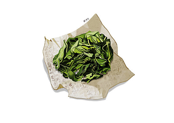 PSD 일러스트 사람없음 한의학 한약재 흰색 민트 한지 디테일 국내일러스트 종이 컬러 의학 약재 허브 파일형식