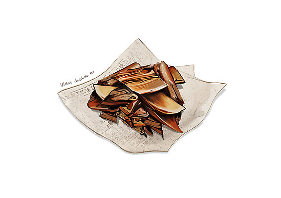 PSD 일러스트 사람없음 한의학 한약재 흰색 한지 디테일 유근피 국내일러스트 종이 컬러 의학 약재 파일형식