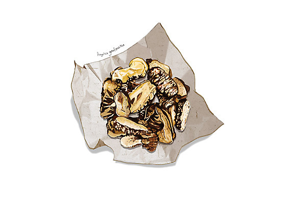 PSD 일러스트 사람없음 한의학 한약재 흰색 한지 디테일 청궁 국내일러스트 종이 컬러 의학 약재 파일형식