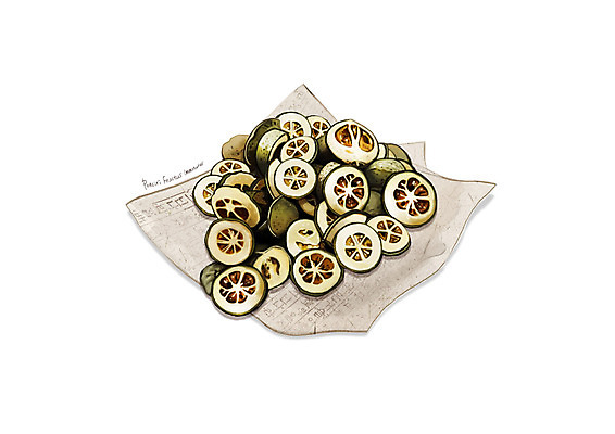 PSD 일러스트 사람없음 한의학 한약재 흰색 한지 지실 디테일 국내일러스트 열매 종이 컬러 과일 의학 약재 파일형식