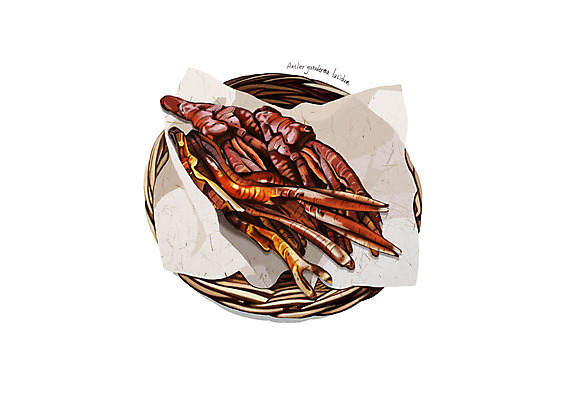 PSD 일러스트 사람없음 바구니 한의학 한약재 흰색 디테일 녹각영지버섯 국내일러스트 컬러 의학 약재 영지버섯 파일형식