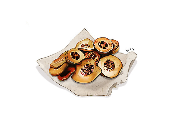 PSD 일러스트 건조 사람없음 한의학 한약재 흰색 한지 모과 디테일 국내일러스트 종이 컬러 과일 의학 약재 파일형식