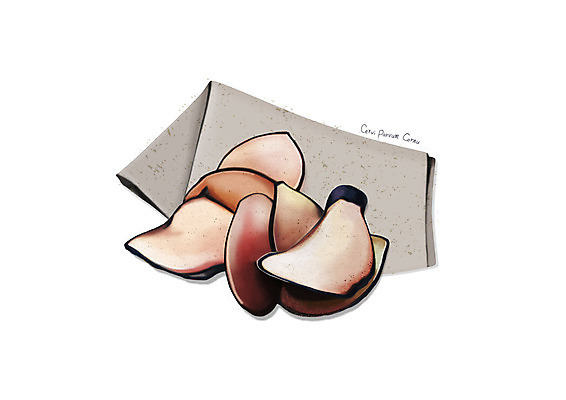 PSD 일러스트 사람없음 한의학 한약재 흰색 한지 녹용 디테일 국내일러스트 종이 컬러 의학 약재 파일형식