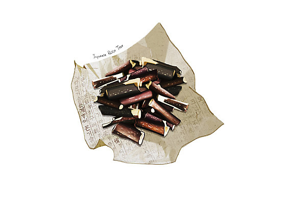 PSD 일러스트 사람없음 한의학 한약재 흰색 한지 헛개나무 디테일 국내일러스트 종이 컬러 의학 약재 파일형식