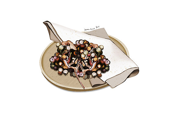 PSD 일러스트 사람없음 한의학 한약재 흰색 나무그릇 헛개나무열매 디테일 국내일러스트 그릇 열매 컬러 의학 목재 약재 파일형식 슈퍼푸드