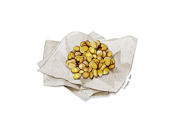 PSD 일러스트 사람없음 한의학 한약재 흰색 한지 디테일 백과 국내일러스트 종이 컬러 의학 약재 파일형식