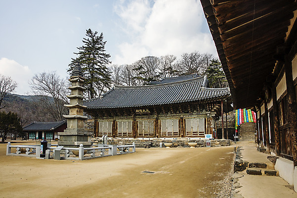 포토 JPG 주간 여행 한국 풍경 사람없음 야외 관광지 사찰 충청남도 공주 국내여행 마곡사 오층석탑 대광보전 국내포토 자연요소 아시아 종교건축 석탑 공주_충청남도 충청도 파일형식
