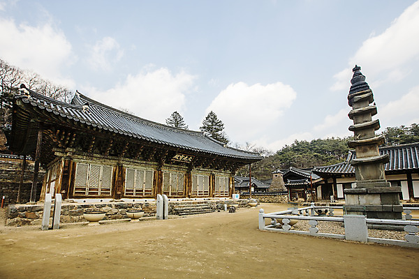 포토 JPG 주간 여행 한국 풍경 사람없음 야외 관광지 사찰 충청남도 공주 국내여행 마곡사 오층석탑 대광보전 국내포토 자연요소 아시아 종교건축 석탑 공주_충청남도 충청도 파일형식