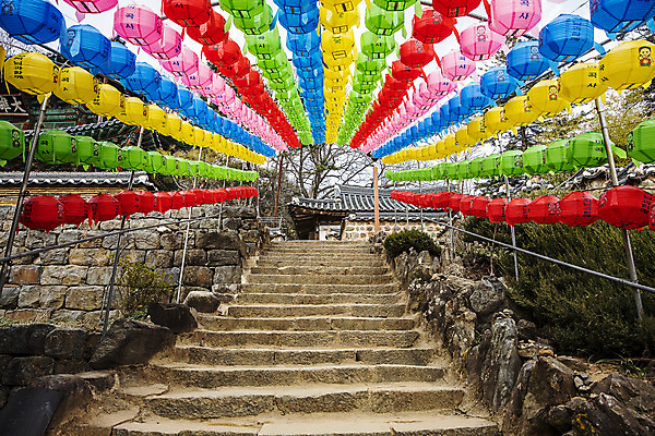 포토 JPG 주간 여행 한국 풍경 사람없음 야외 관광지 계단 부처님오신날 사찰 충청남도 연등 공주 국내여행 마곡사 국내포토 자연요소 기념일 아시아 종교건축 등불 불교용품 공주_충청남도 충청도 파일형식