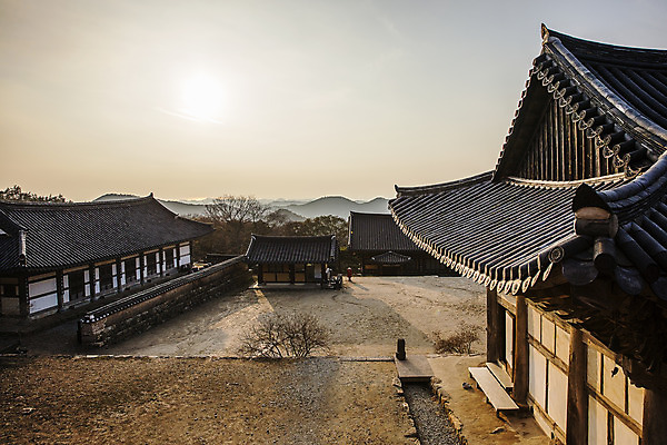 포토 JPG 주간 여행 한국 기와 풍경 사람없음 야외 관광지 사찰 전라남도 해남 국내여행 달마산 달마고도 미황사 국내포토 자연요소 아시아 길 종교건축 산 전라도 파일형식