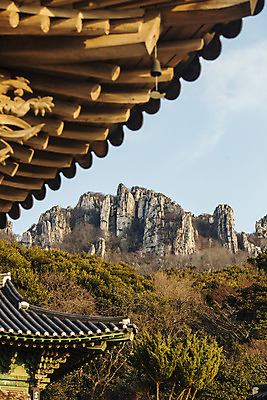 포토 JPG 주간 여행 한국 풍경 근접촬영 사람없음 야외 관광지 사찰 전라남도 해남 국내여행 달마산 달마고도 미황사 국내포토 자연요소 아시아 길 뷰포인트 종교건축 산 전라도 파일형식