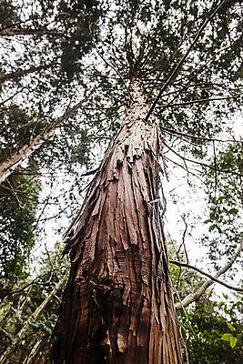 포토 JPG 주간 나무 로우앵글 여행 한국 풍경 사람없음 야외 관광지 사찰 전라남도 해남 국내여행 달마산 달마고도 미황사 국내포토 자연요소 식물 아시아 길 뷰포인트 종교건축 산 전라도 파일형식