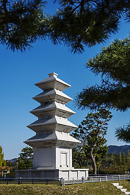 포토 JPG 주간 여행 한국 풍경 사람없음 야외 관광지 소나무 석탑 경상북도 국내여행 의성 오층석탑 조문국박물관 국내포토 자연요소 나무 아시아 탑 경상도 박물관 파일형식