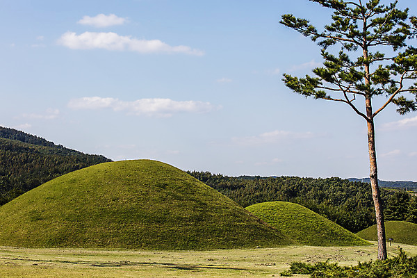포토 JPG 주간 여행 한국 풍경 사람없음 야외 관광지 가을 무덤 경상북도 고분 국내여행 의성 금성산고분군 국내포토 자연요소 계절 아시아 경상도 파일형식
