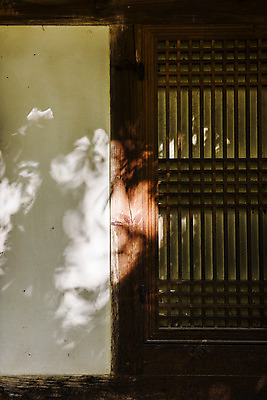 포토 JPG 주간 여행 한국 풍경 근접촬영 사람없음 야외 관광지 햇빛 사찰 경상북도 고운사 국내여행 의성 국내포토 자연요소 아시아 뷰포인트 종교건축 태양 경상도 파일형식