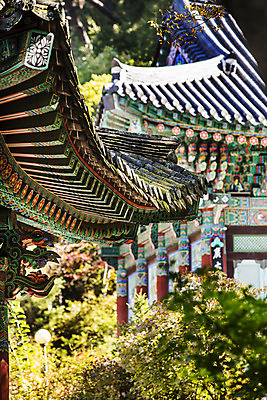 포토 JPG 주간 여행 한국 풍경 사람없음 야외 관광지 사찰 경상북도 단청 처마 고운사 국내여행 의성 국내포토 자연요소 아시아 종교건축 경상도 파일형식