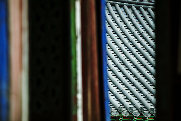 포토 JPG 주간 여행 산 한국 국립공원 풍경 사람없음 야외 관광지 사찰 강원도 처마 국내여행 설악산 속초 신흥사 국내포토 자연요소 공원 아시아 종교건축 인제 파일형식