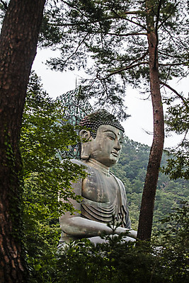 포토 JPG 주간 여행 산 한국 국립공원 풍경 사람없음 야외 관광지 사찰 강원도 국내여행 설악산 속초 신흥사 청동대불상 국내포토 자연요소 공원 아시아 종교건축 불상 인제 파일형식
