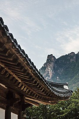 포토 JPG 주간 여행 하늘 산 한국 국립공원 풍경 사람없음 야외 관광지 사찰 강원도 처마 국내여행 설악산 속초 신흥사 국내포토 자연요소 공원 아시아 종교건축 인제 파일형식