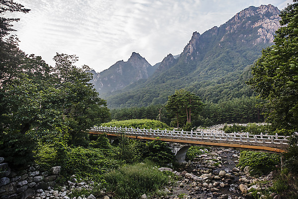 포토 JPG 주간 여행 산 한국 국립공원 풍경 사람없음 야외 관광지 계곡 강원도 국내여행 설악산 속초 신흥사 국내포토 자연요소 공원 아시아 사찰 인제 파일형식