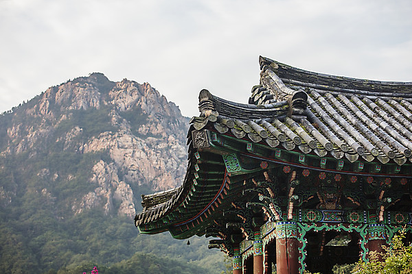 포토 JPG 주간 여행 산 한국 국립공원 풍경 사람없음 야외 관광지 사찰 강원도 처마 국내여행 설악산 속초 신흥사 국내포토 자연요소 공원 아시아 종교건축 인제 파일형식