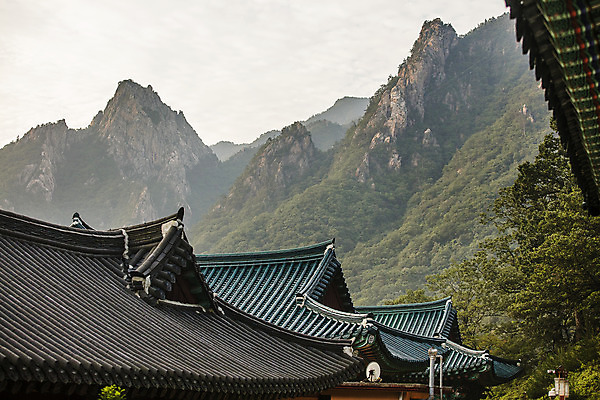 포토 JPG 주간 여행 산 한국 국립공원 풍경 사람없음 야외 관광지 사찰 강원도 처마 국내여행 설악산 속초 신흥사 국내포토 자연요소 공원 아시아 종교건축 인제 파일형식