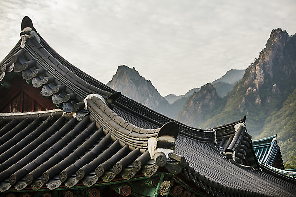 포토 JPG 주간 여행 산 한국 국립공원 풍경 사람없음 야외 관광지 사찰 강원도 처마 국내여행 설악산 속초 신흥사 국내포토 자연요소 공원 아시아 종교건축 인제 파일형식