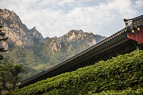 포토 JPG 주간 구름 여행 하늘 산 한국 국립공원 풍경 사람없음 야외 관광지 사찰 강원도 처마 국내여행 설악산 속초 신흥사 국내포토 자연요소 공원 아시아 종교건축 인제 파일형식