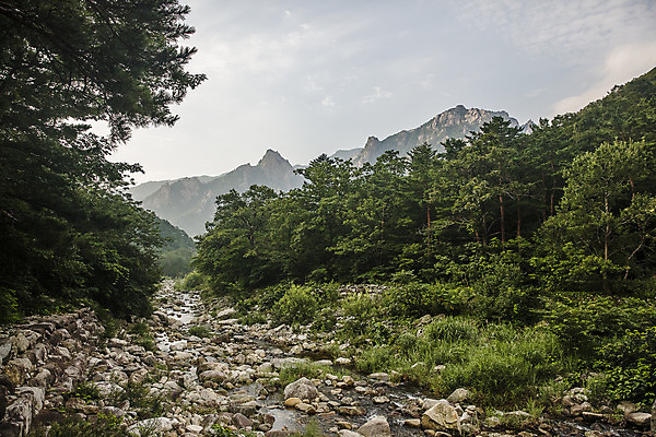 포토 JPG 주간 여행 산 한국 국립공원 풍경 사람없음 야외 관광지 계곡 강원도 국내여행 설악산 속초 신흥사 국내포토 자연요소 공원 아시아 사찰 인제 파일형식