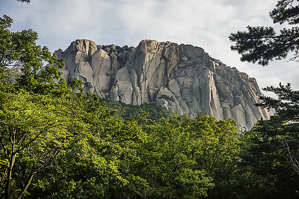 포토 JPG 주간 여행 산 한국 국립공원 풍경 사람없음 야외 관광지 계곡 강원도 국내여행 설악산 속초 신흥사 국내포토 자연요소 공원 아시아 사찰 인제 파일형식
