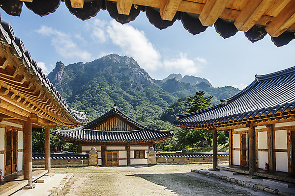 포토 JPG 주간 여행 산 한국 국립공원 풍경 사람없음 야외 관광지 사찰 강원도 처마 국내여행 설악산 속초 신흥사 국내포토 자연요소 공원 아시아 종교건축 인제 파일형식