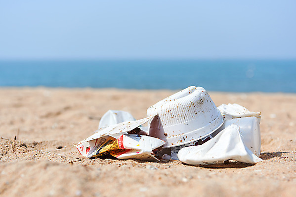 포토 JPG 주간 모래 바다 자연 해변 사람없음 야외 자연보호 환경 그린캠페인 환경오염 오염 쓰레기 플라스틱 사회이슈 수질오염 해양쓰레기 왕산해수욕장 국내포토 자연요소 캠페인 컨셉 재질 보호 해수욕장 생태계 인천 파일형식