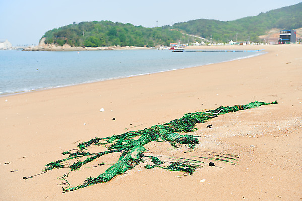 포토 JPG 주간 모래 바다 자연 해변 사람없음 야외 자연보호 환경 그린캠페인 그물 환경오염 오염 쓰레기 사회이슈 수질오염 해양쓰레기 왕산해수욕장 국내포토 자연요소 캠페인 컨셉 보호 해수욕장 생태계 인천 파일형식