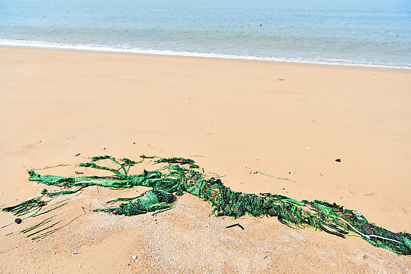 포토 JPG 주간 모래 바다 자연 해변 사람없음 야외 자연보호 환경 그린캠페인 그물 환경오염 오염 쓰레기 사회이슈 수질오염 해양쓰레기 왕산해수욕장 국내포토 자연요소 캠페인 컨셉 보호 해수욕장 생태계 인천 파일형식
