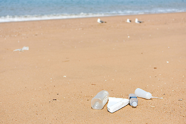 포토 JPG 주간 모래 바다 자연 해변 사람없음 야외 자연보호 환경 그린캠페인 환경오염 오염 쓰레기 사회이슈 페트병 수질오염 스티로폼 해양쓰레기 왕산해수욕장 국내포토 자연요소 캠페인 컨셉 보호 해수욕장 생태계 인천 병_담는 파일형식
