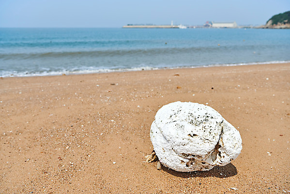 포토 JPG 주간 모래 바다 자연 해변 사람없음 야외 자연보호 환경 그린캠페인 환경오염 오염 쓰레기 사회이슈 수질오염 스티로폼 해양쓰레기 왕산해수욕장 국내포토 자연요소 캠페인 컨셉 보호 해수욕장 생태계 인천 파일형식