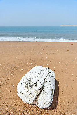 포토 JPG 주간 모래 바다 자연 해변 사람없음 야외 자연보호 환경 그린캠페인 환경오염 오염 쓰레기 사회이슈 수질오염 스티로폼 해양쓰레기 왕산해수욕장 국내포토 자연요소 캠페인 컨셉 보호 해수욕장 생태계 인천 파일형식