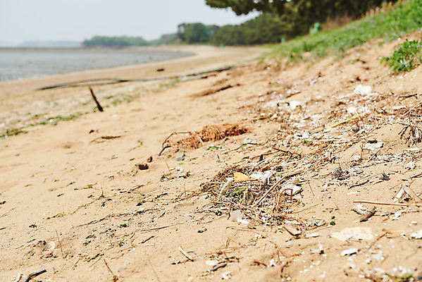 포토 JPG 주간 모래 바다 자연 해변 사람없음 야외 자연보호 환경 그린캠페인 환경오염 오염 쓰레기 사회이슈 수질오염 화성시 해양쓰레기 궁평해수욕장 국내포토 자연요소 캠페인 컨셉 보호 해수욕장 생태계 경기도 화성_경기도 파일형식