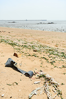 포토 JPG 주간 모래 바다 자연 해변 사람없음 야외 자연보호 환경 그린캠페인 환경오염 오염 쓰레기 사회이슈 수질오염 화성시 해양쓰레기 궁평해수욕장 국내포토 자연요소 캠페인 컨셉 보호 해수욕장 생태계 경기도 화성_경기도 파일형식